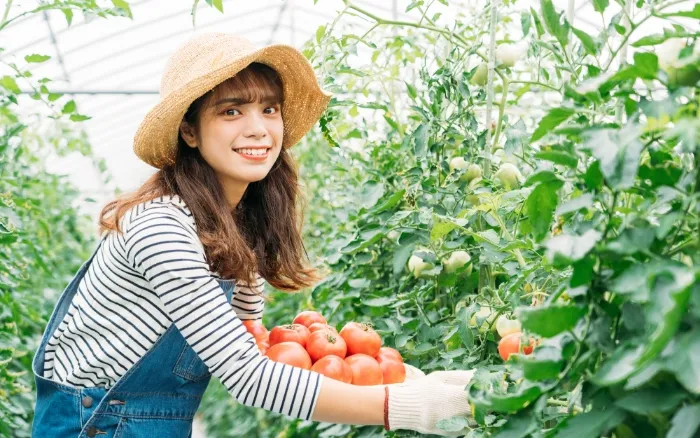 産直モールとは