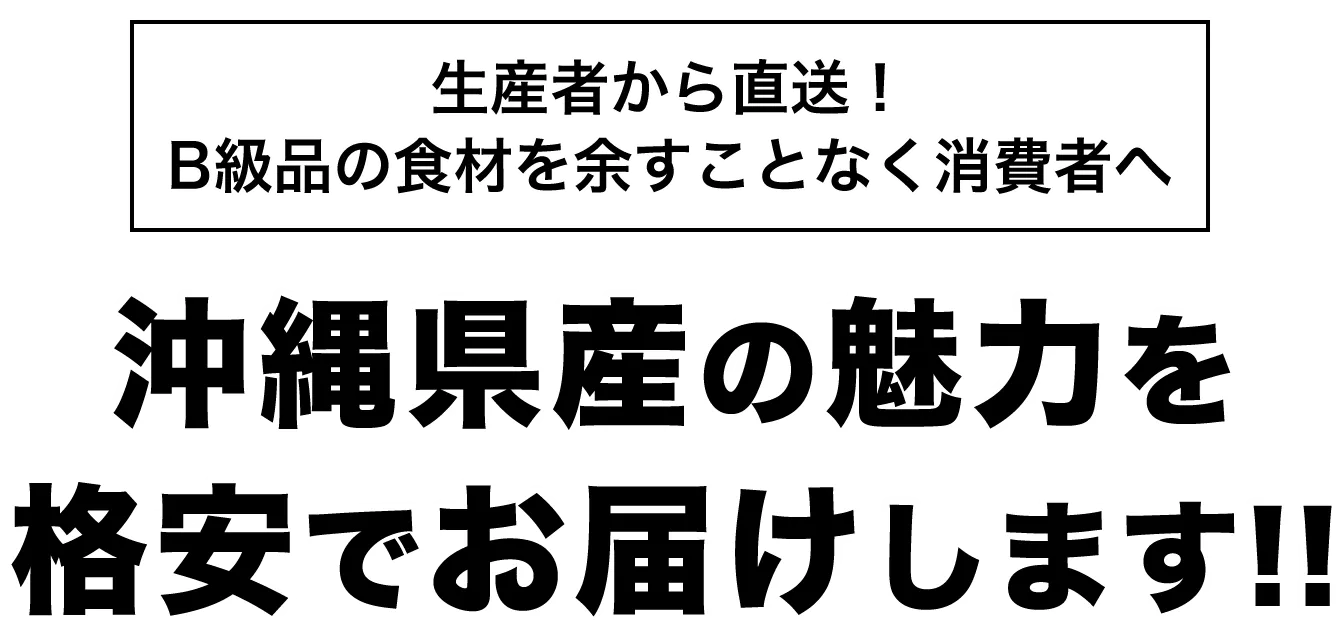 沖縄県産の魅力を格安でお届けします!!